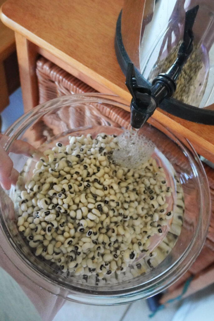 black eyed peas soaking in water