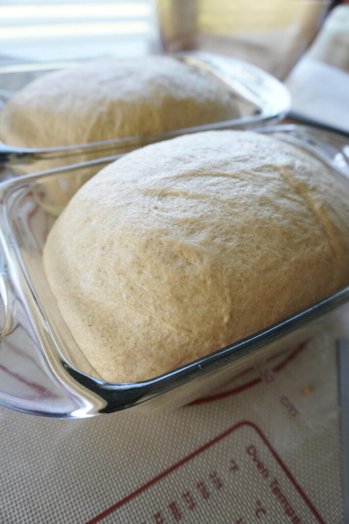 2 bread pans with risen bread loaves