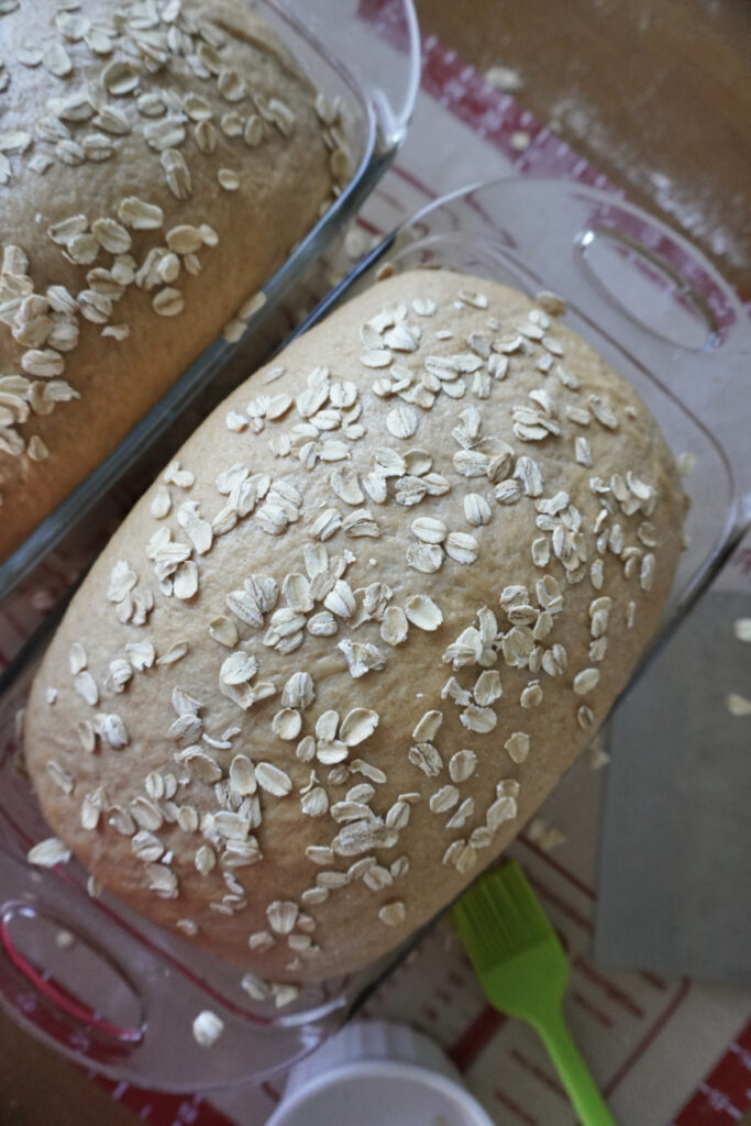 unbaked brown bread loaves topped with oats